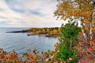 Scenic view of forest against sky during autumn