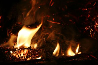 Close-up of bonfire at night