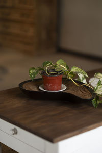 Close-up of food on table