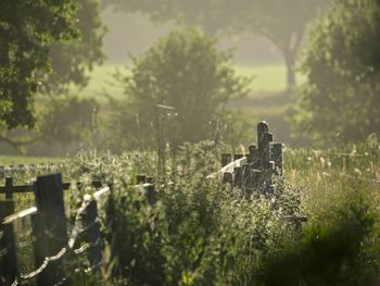 View of cemetery on field