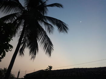 Low angle view of silhouette palm trees against sky