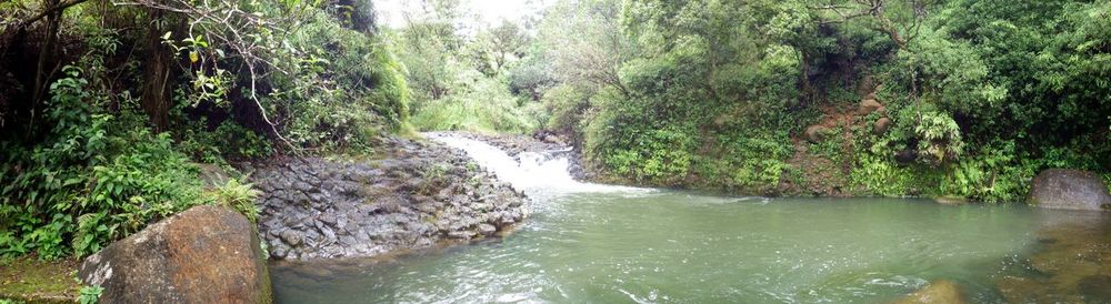 River flowing through rocks