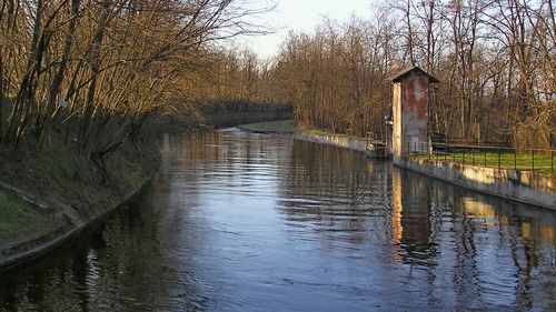 Reflection of trees in water