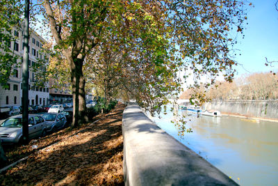 Canal amidst trees against sky in city