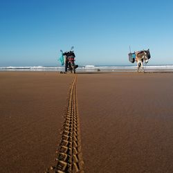 People riding horse on beach against clear sky