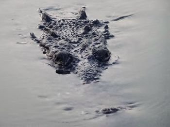 Close-up of water