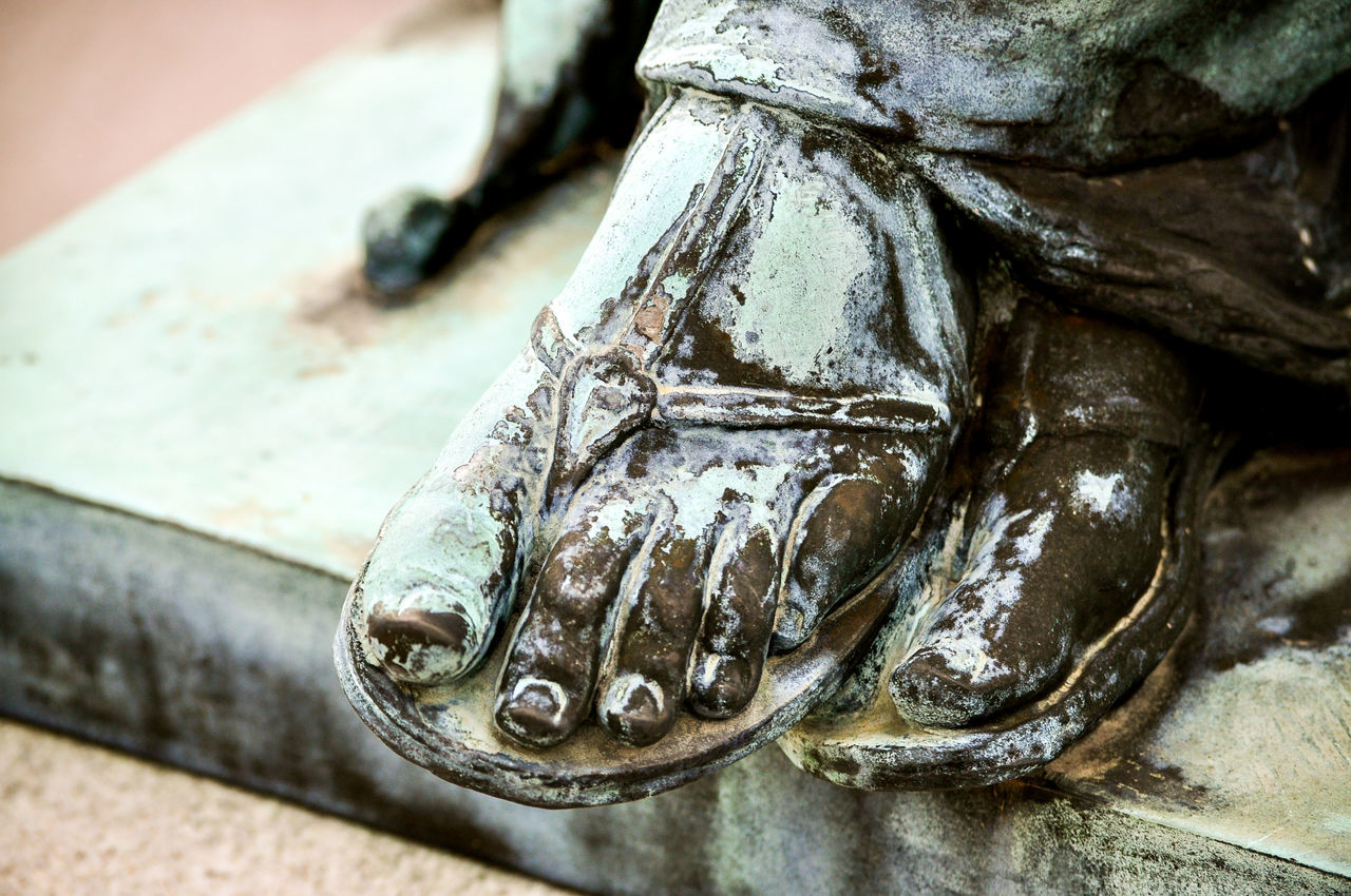 footwear, close-up, animal, no people, reptile, shoe, animal themes, iron, focus on foreground, day, outdoors, animal wildlife