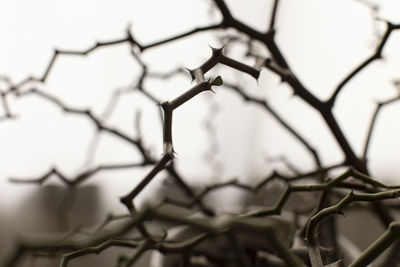 Close-up of barbed wire fence against sky