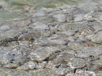 Rocks in water