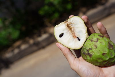 Close-up of hand holding fruit