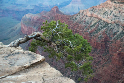 Close-up of rock formation against mountains