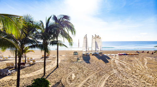 Palm trees on beach against sky