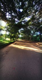 Empty road along trees