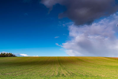 Scenic view of field against sky