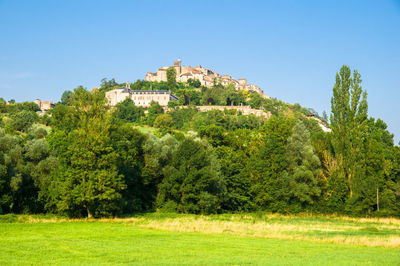 Trees and buildings against clear blue sky