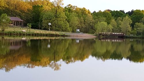 Reflection of trees in water