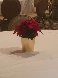 Close-up of flower on table