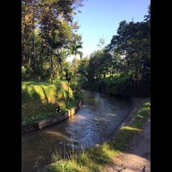 View of stream along trees in park