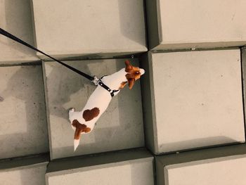 Upside down image of man jumping against wall