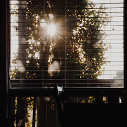 Illuminated trees seen through window