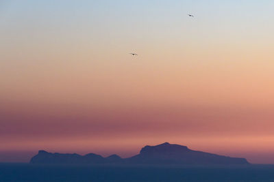 Silhouette bird flying over sea against sky during sunset