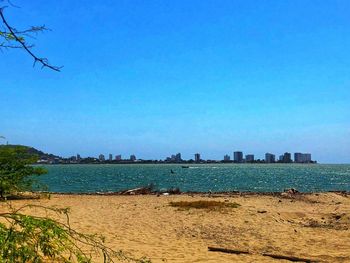 Scenic view of beach against clear blue sky