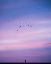 Low angle view of birds flying over sea against sky during sunset