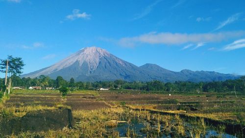 Scenic view of field and mountains against blue sky