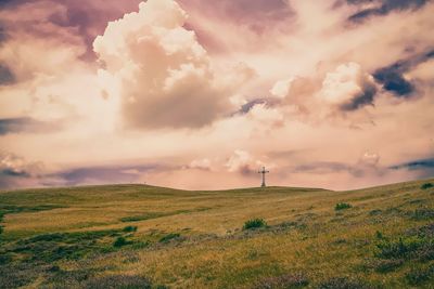 Scenic view of landscape against sky