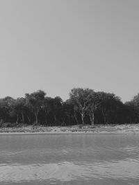 Trees by calm lake against clear sky