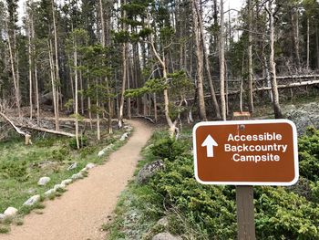 Road sign by trees in forest