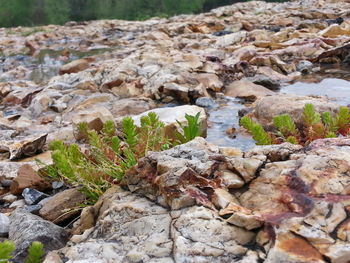 Rocks on rocks