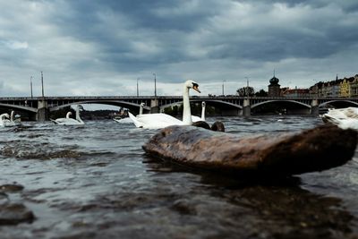 Bridge over river against sky