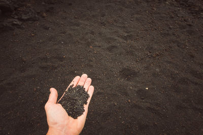 Close-up of hand holding sand 