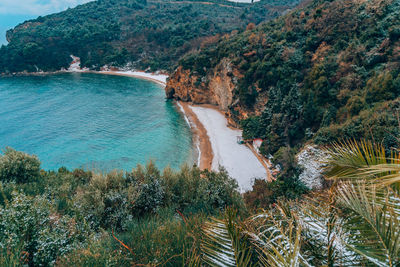 High angle view of sea and trees