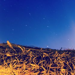 Scenic view of landscape against blue sky