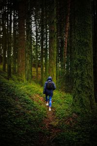 Rear view of man walking in forest