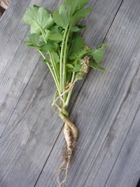 High angle view of vegetables on table