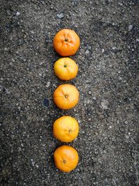 High angle view of orange fruits in row