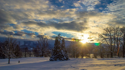 Trees on snow covered field against sky during sunset