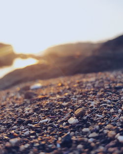 Close-up of pebbles on sand at beach