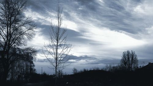 Silhouette bare trees on field against sky during sunset