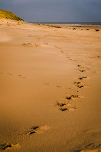 Footprints on sand in desert against sky