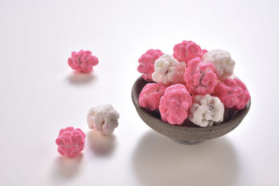 Close-up of pink flowers against white background