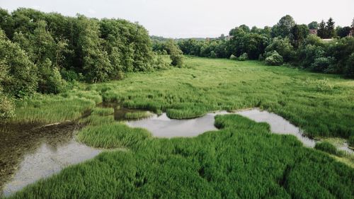 Scenic view of landscape against sky