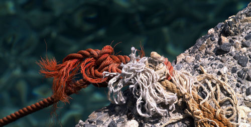 Close-up of ropes on hook against sea