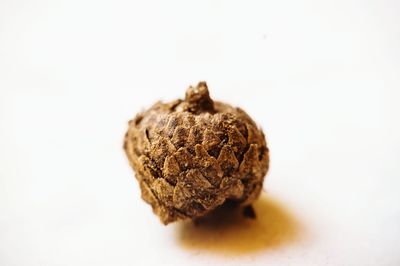 Close-up of cupcake against white background