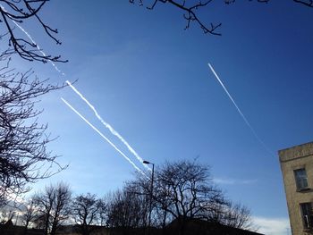 Low angle view of bare trees against blue sky