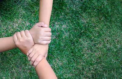 High angle view of baby hand on grassy field