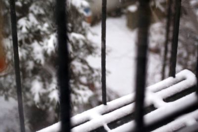 Close-up of tree during winter